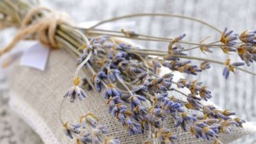 Premier Korean Organic Cosmetics Brands